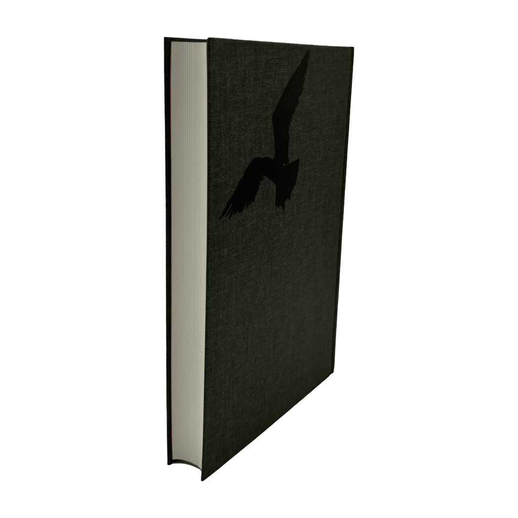A Portrait of the Artist as a Young Man - James Joyce - Folio Society - 2016