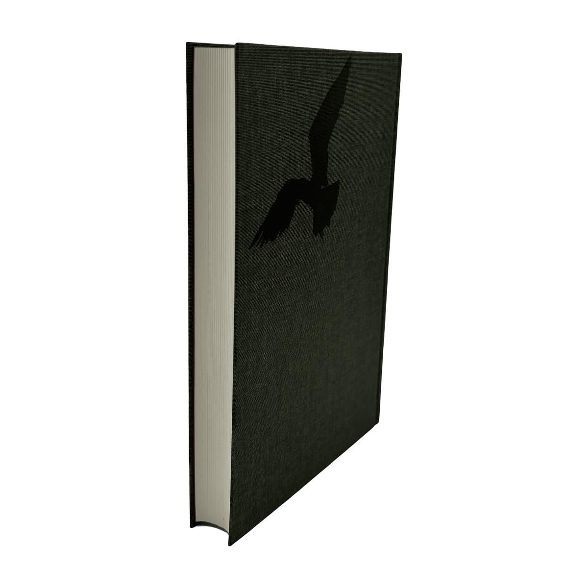 A Portrait of the Artist as a Young Man - James Joyce - Folio Society - 2016