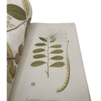 Plants Of The Americas - Nikolaus Joseph von Jacquin - Folio Society - 2016