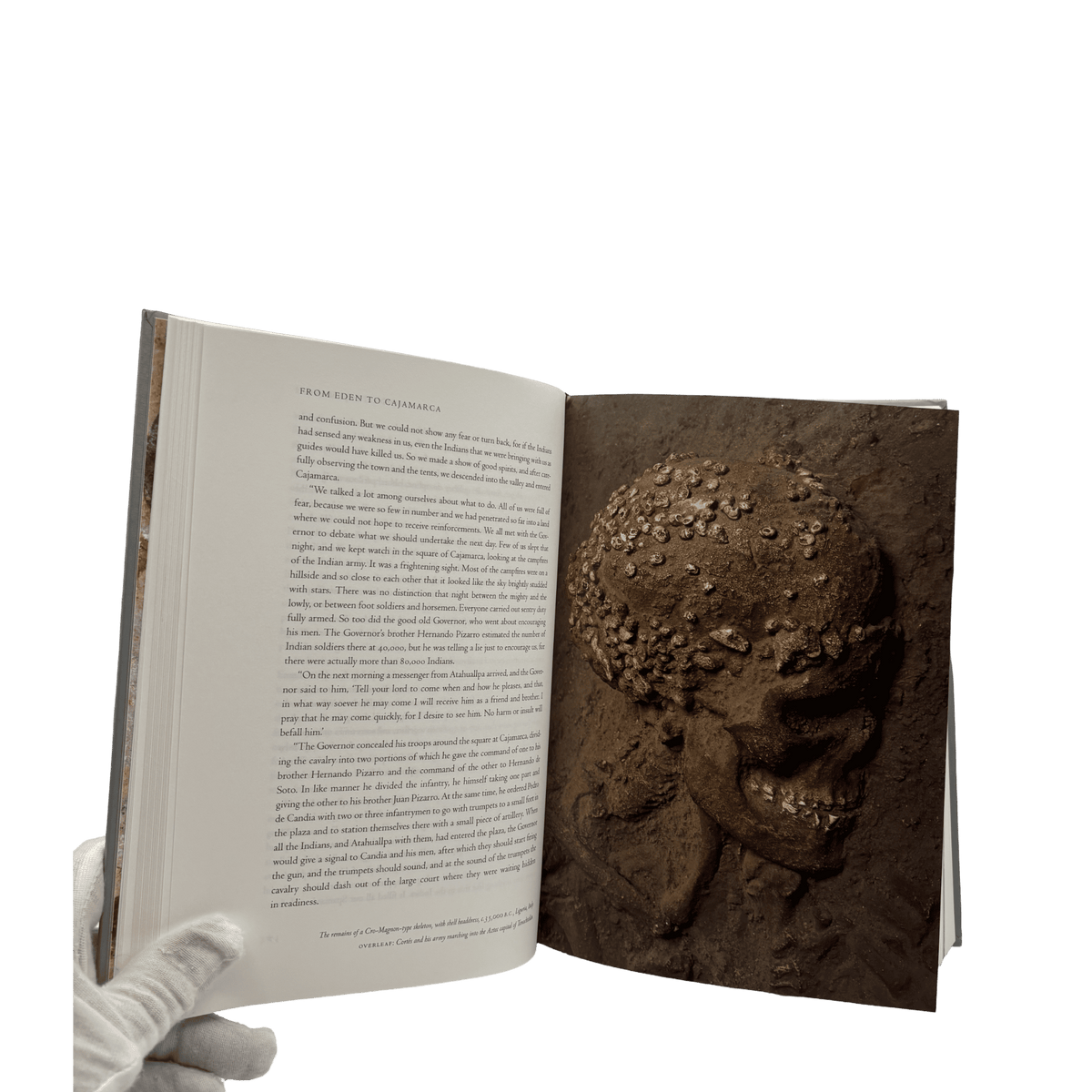 Guns, Germs and Steel: A Short History of Everybody for the Last 13,000 Years - Jared Diamond - Folio Society - 2017