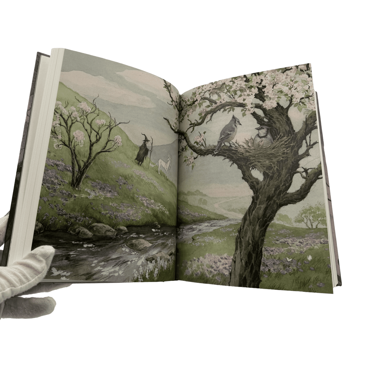 The Last Unicorn - Peter S beagle - Folio Society - 2025