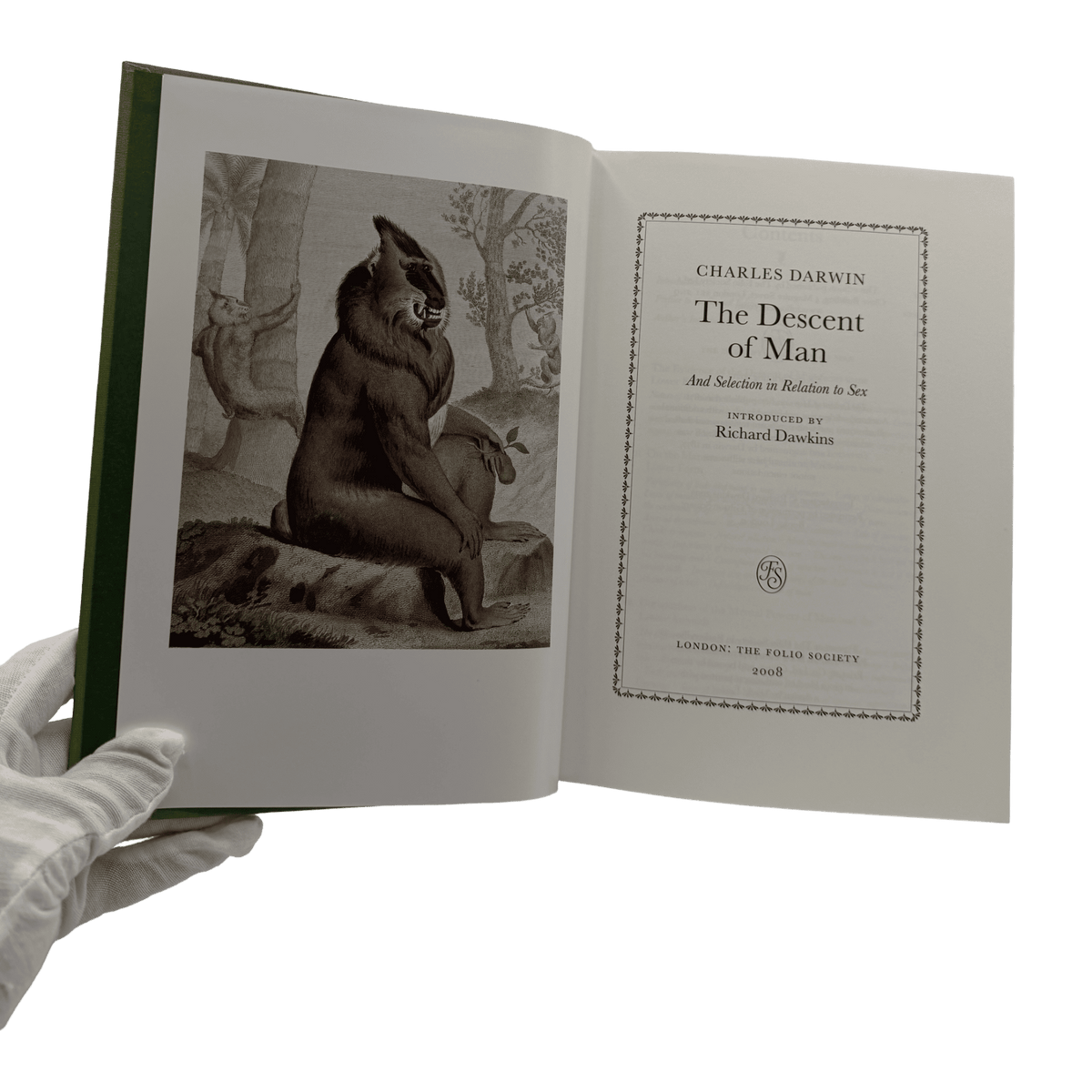Descent of Man and Selection in Relation to Sex, The - Charles Darwin - Folio Society - 2021