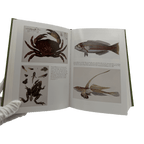 Descent of Man and Selection in Relation to Sex, The - Charles Darwin - Folio Society - 2021