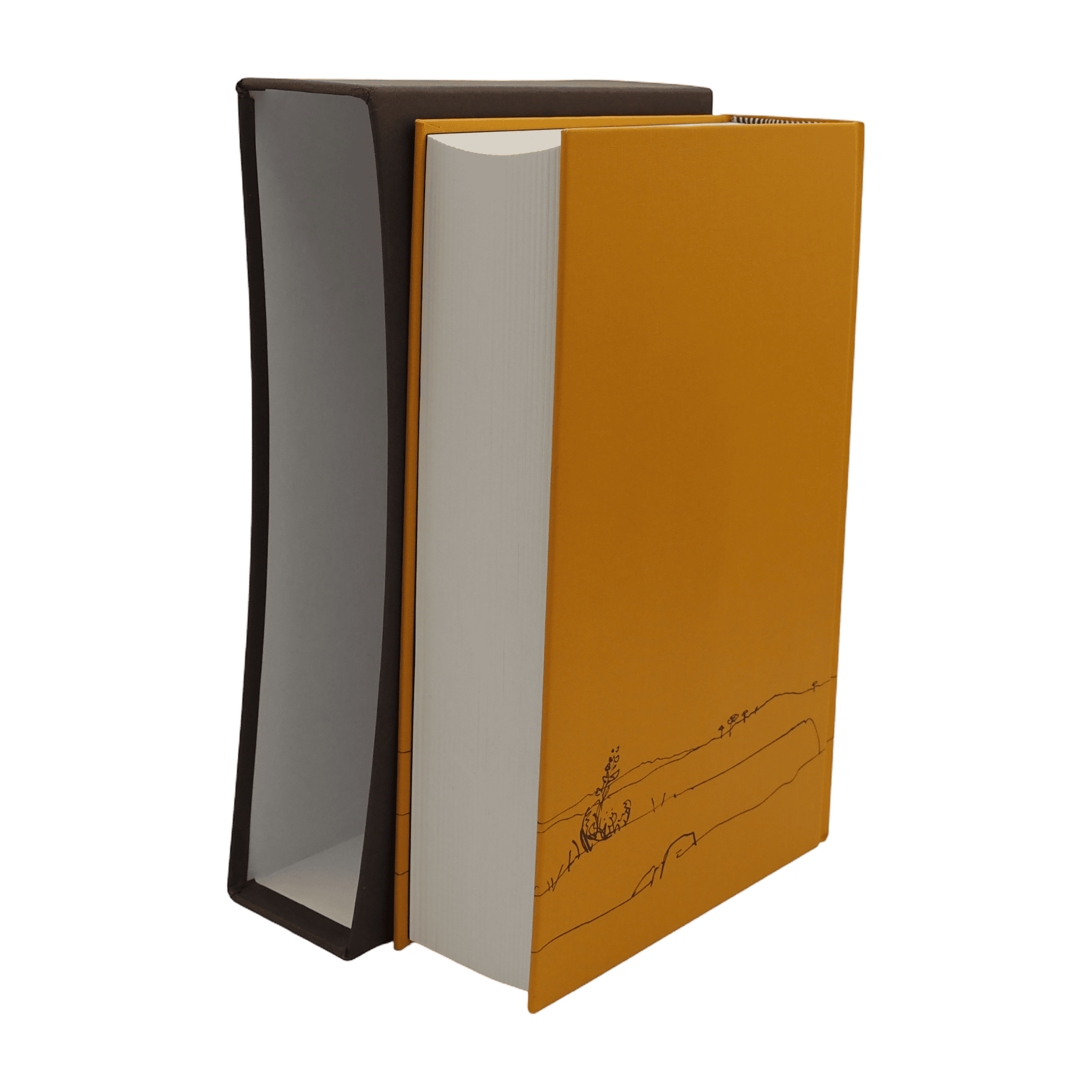 Don Quixote - Miguel de Cervantes - Folio Society - 1995 1st Edition