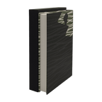 Amerika - Franz Kafka - Folio Society - 2011 1st Edition