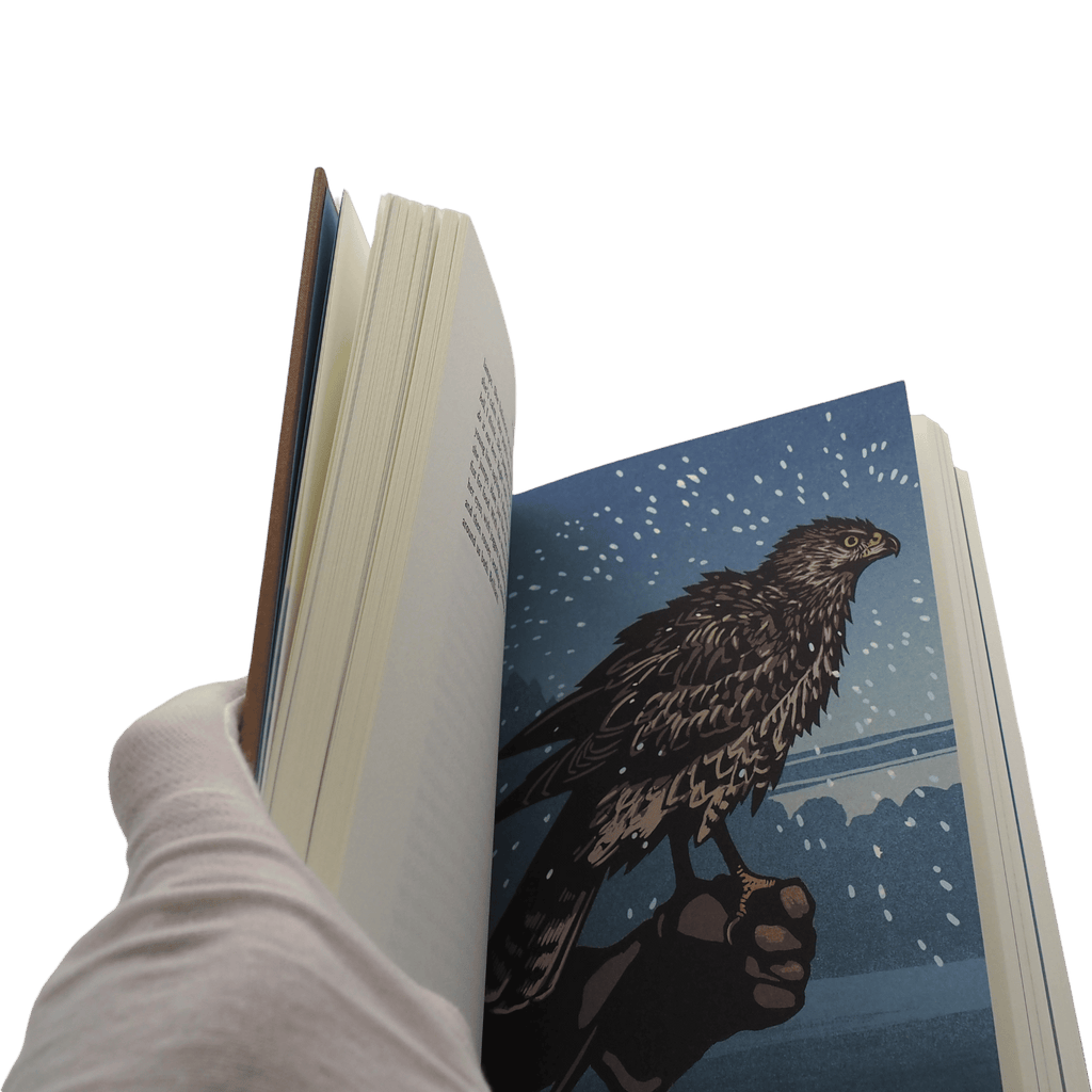H is for Hawk - Helen Macdonald - Folio Society - 2025 1st Edition