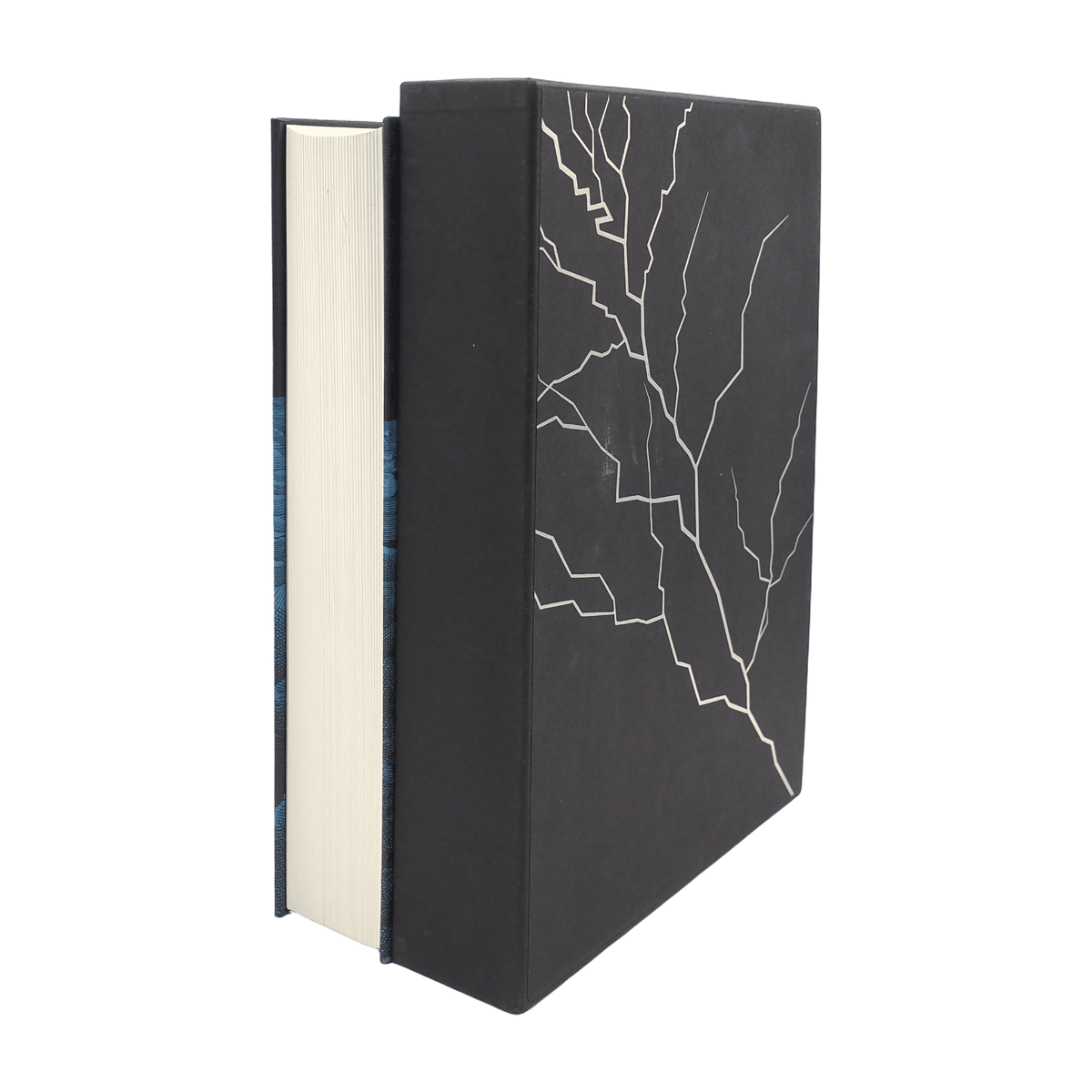 Finnegans Wake - James Joyce - Folio Society - 2014