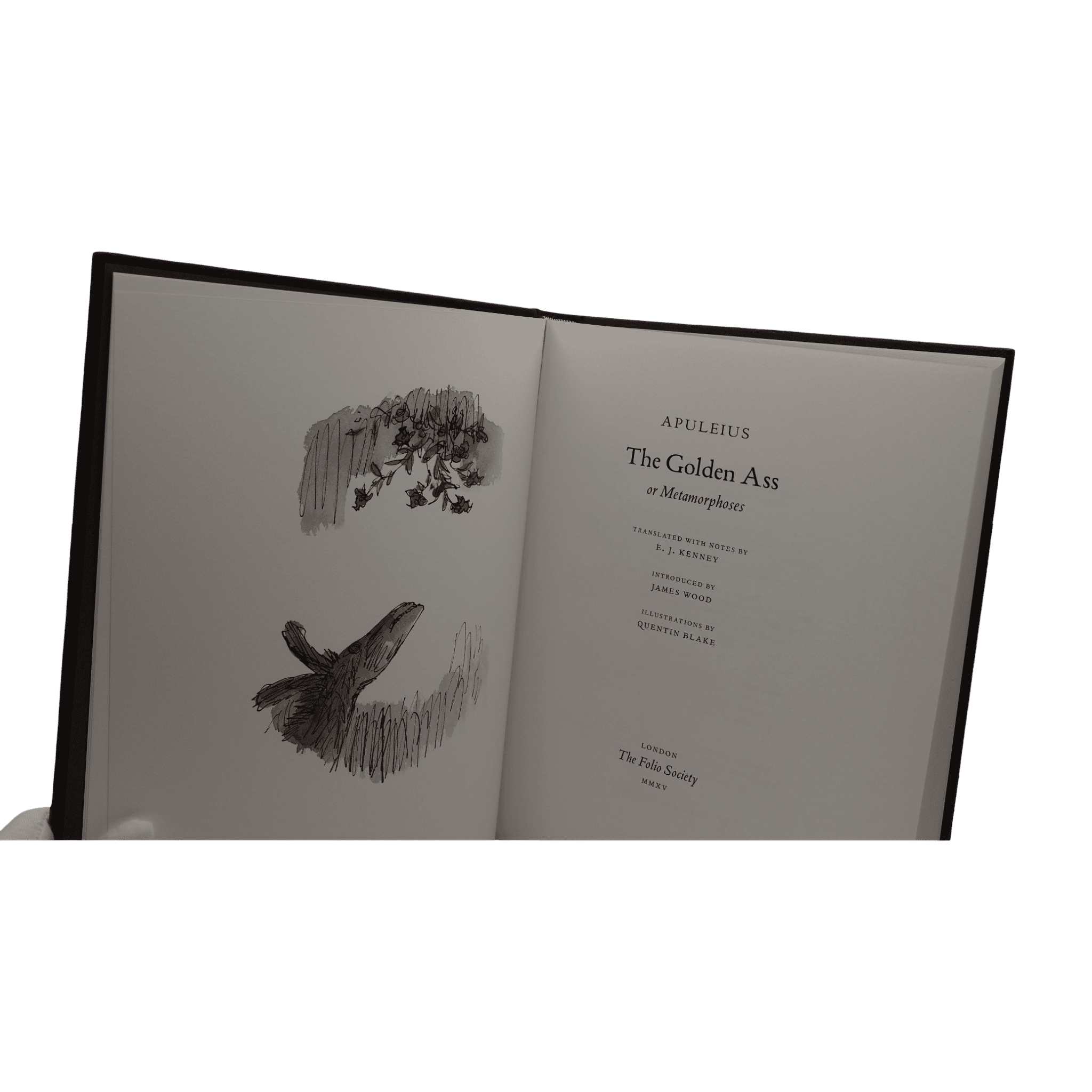 Golden Ass, The - Apuleius - Folio Society - 2015 Limited Edition