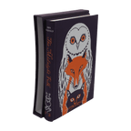 The Midnight Folk — included in the three-book folklore bundle
