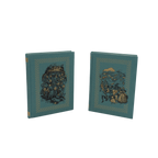 Chronicles of Narnia, The - C S Lewis - Folio Society - 2012 – image 7 of 9