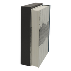 Herzog - Saul Bellow - Folio Society - 2012 1st Edition