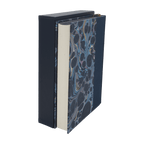 Stardust Standard Blue - Neil Gaiman - Lyra's Books - 2020 1st Edition