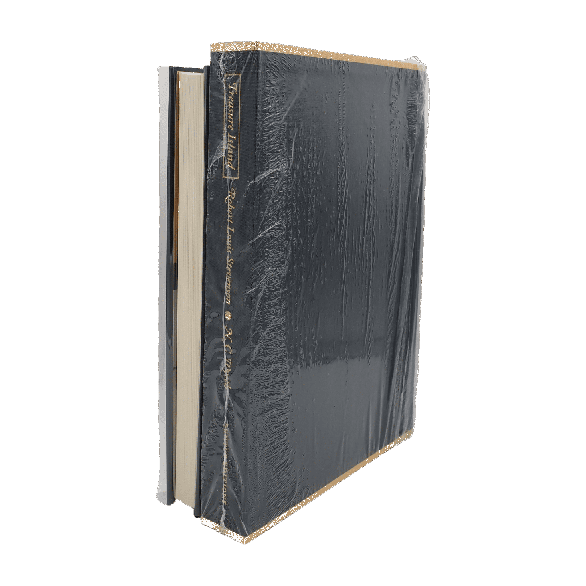 Treasure Island - artist edition - Robert Louis Stevenson - Suntup Editions - 2025