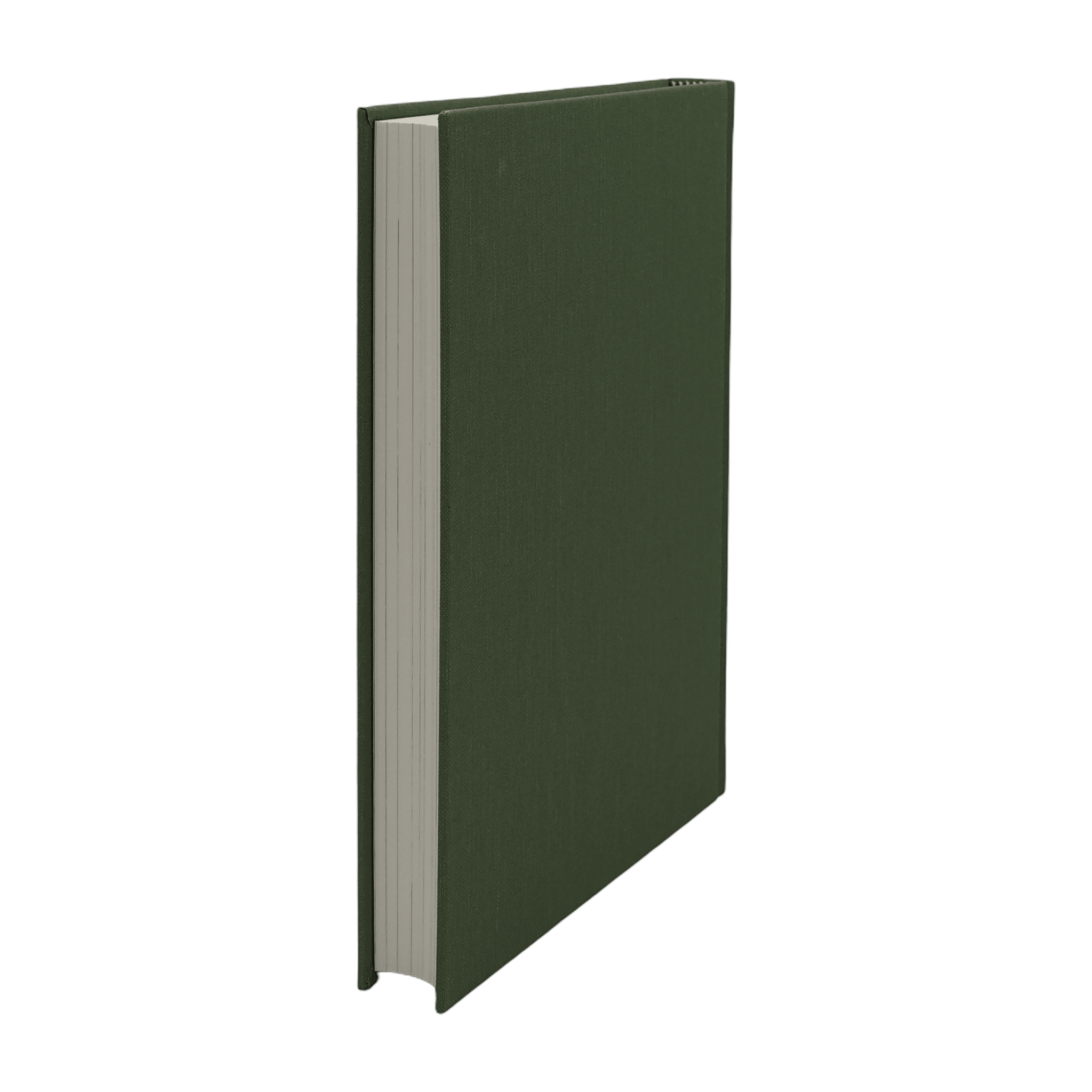 A Traveller in Time - Alison Uttley - Folio Society - 2012 1st Edition