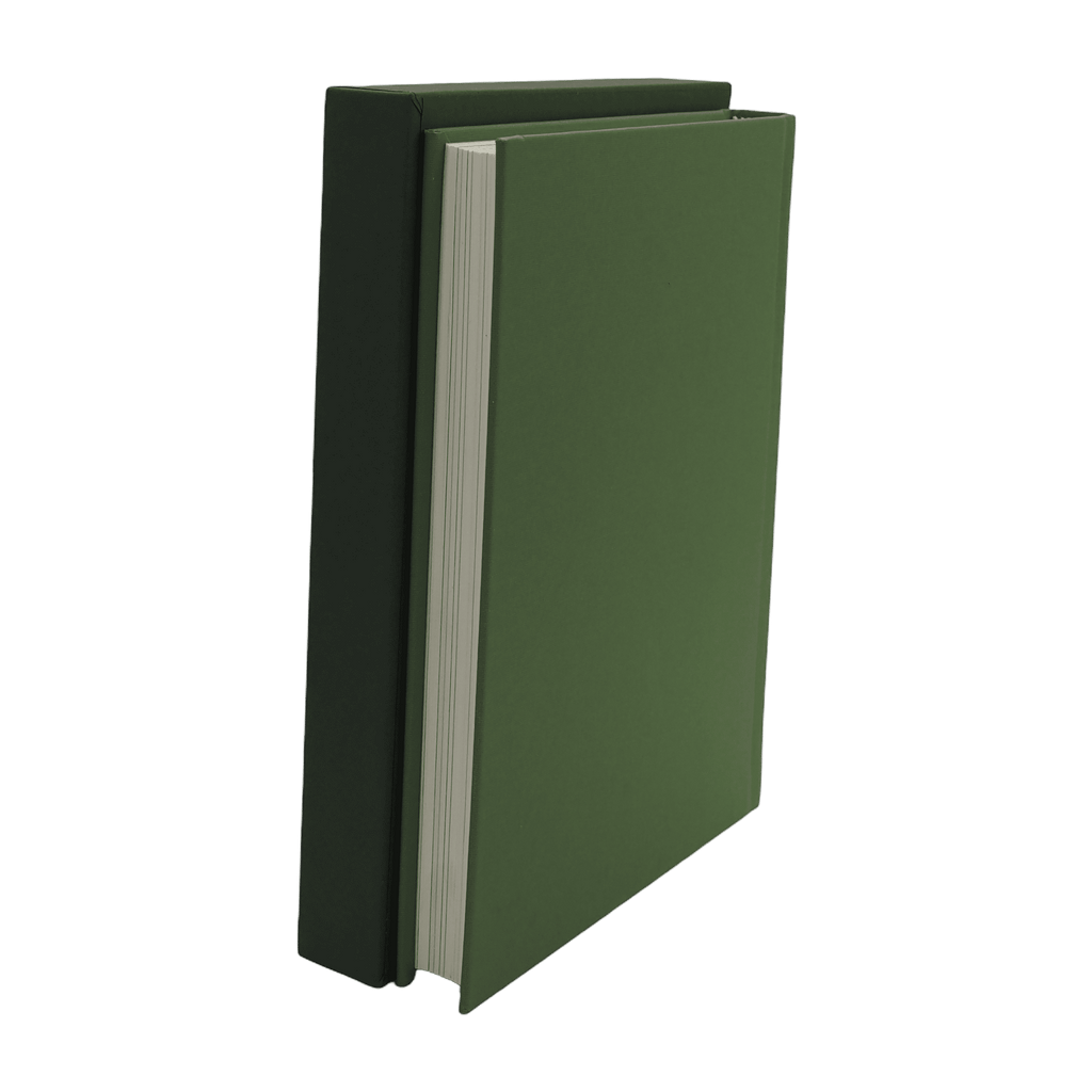 Owl Service, The - Alan Garner - Folio Society - 2013 1st Edition