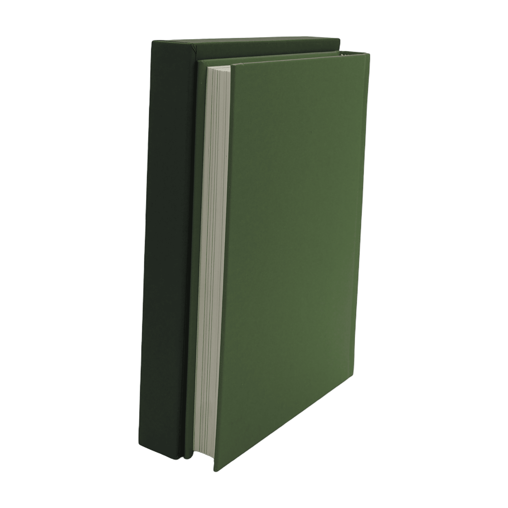 Owl Service, The - Alan Garner - Folio Society - 2013 1st Edition