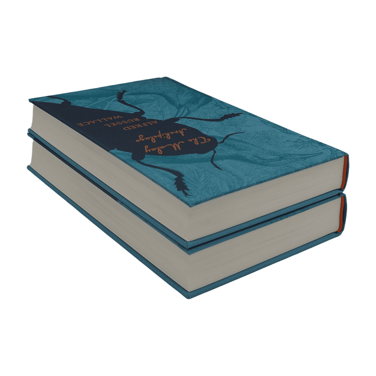Malay Archipelago, The - Alfred Russel Wallace - Folio Society - 2017 1st Edition – image 4 of 4